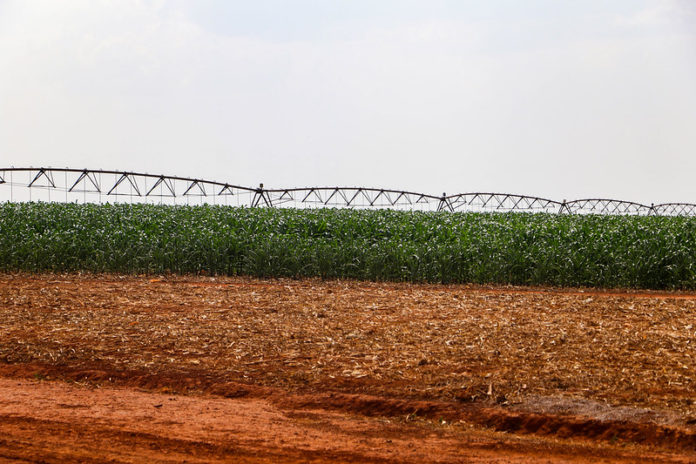 Caesb produz fertilizante orgânico para agricultores do DF