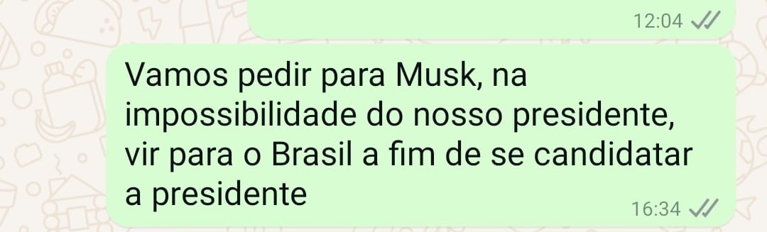 Bolsonaristas desinformados sugerem Elon Musk como candidato à presidência do Brasil