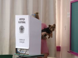 Eleições 2026: propostas para pets ganham força e podem facilitar quem busca um mandato ao invés de focar na saúde, educação e segurança